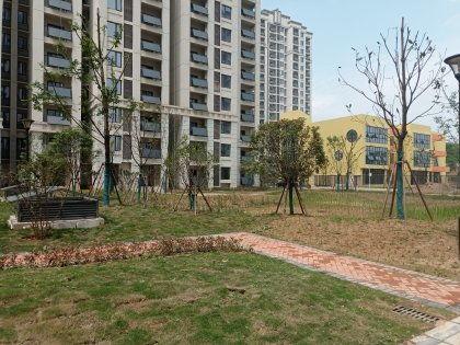 西安白羊佳苑最新爆料消息,揭秘项目进展与周边配套升级 第3张 西安白羊佳苑最新爆料消息,揭秘项目进展与周边配套升级 第3张