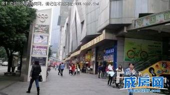 成都港的最新爆料,揭秘港口发展新动向与未来蓝图  第3张